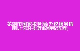 芜湖市国家税务局(办税服务指南让你轻松理解纳税流程)